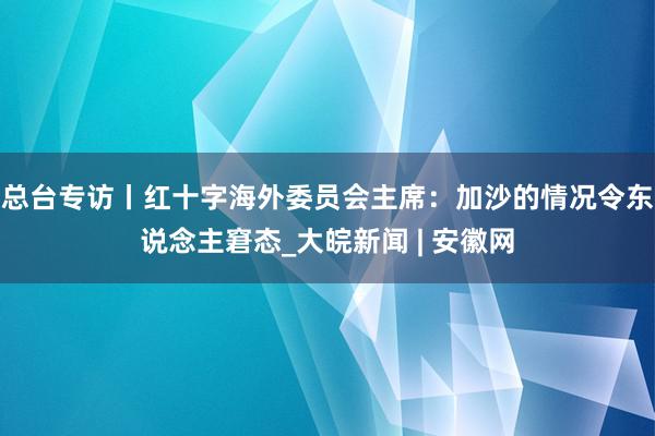 总台专访丨红十字海外委员会主席：加沙的情况令东说念主窘态_大皖新闻 | 安徽网