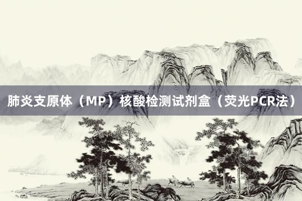 肺炎支原体（MP）核酸检测试剂盒（荧光PCR法）