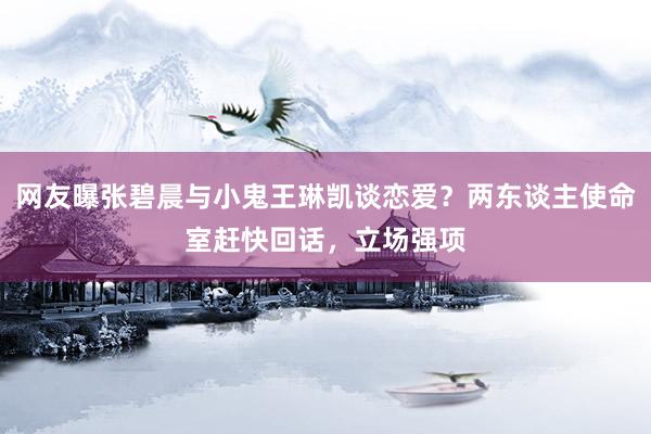 网友曝张碧晨与小鬼王琳凯谈恋爱？两东谈主使命室赶快回话，立场强项