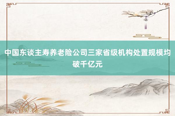 中国东谈主寿养老险公司三家省级机构处置规模均破千亿元