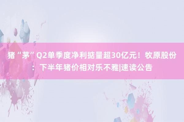 猪“茅”Q2单季度净利掂量超30亿元！牧原股份：下半年猪价相对乐不雅|速读公告