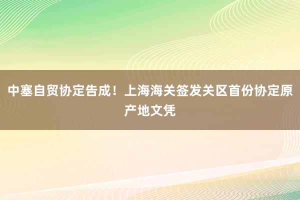 中塞自贸协定告成！上海海关签发关区首份协定原产地文凭