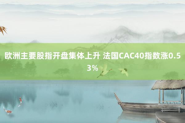 欧洲主要股指开盘集体上升 法国CAC40指数涨0.53%