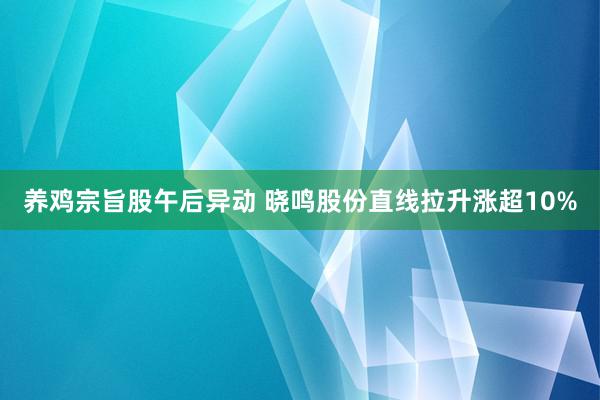 养鸡宗旨股午后异动 晓鸣股份直线拉升涨超10%