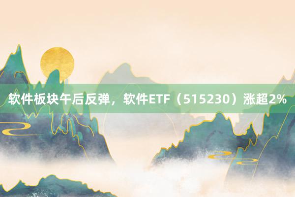 软件板块午后反弹，软件ETF（515230）涨超2%