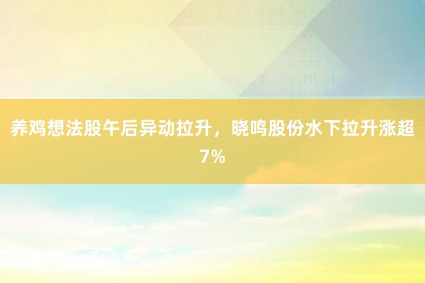 养鸡想法股午后异动拉升，晓鸣股份水下拉升涨超7%