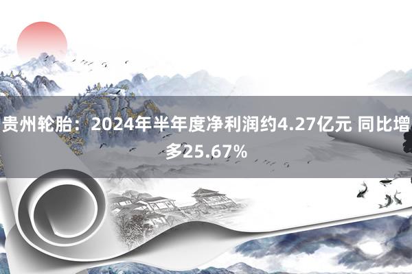 贵州轮胎：2024年半年度净利润约4.27亿元 同比增多25.67%