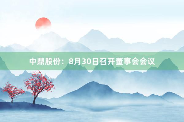 中鼎股份：8月30日召开董事会会议