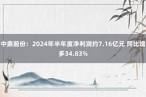 中鼎股份：2024年半年度净利润约7.16亿元 同比增多34.83%