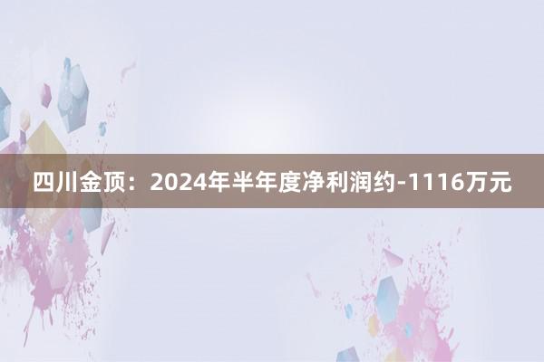 四川金顶：2024年半年度净利润约-1116万元