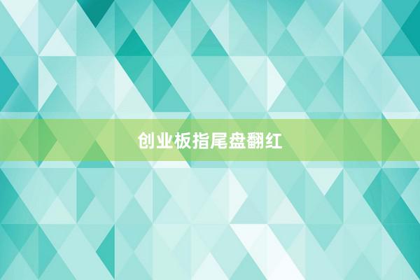 创业板指尾盘翻红